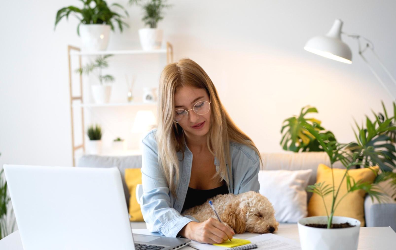 Environnement d'apprentissage moderne favorisant les échanges et la collaboration